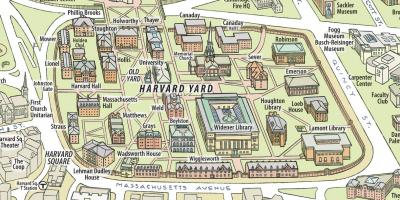 Kaart van de Harvard university